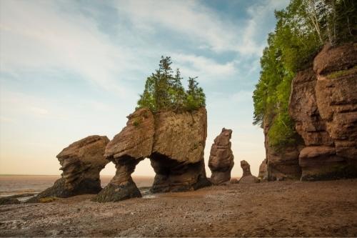 Canada Travel Guide 49 Hopewell Rocks travel guide