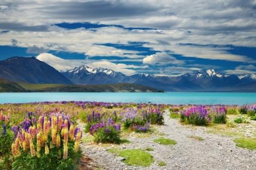 New Zealand Travel Guide 29 New Zealand South Island Travel Guide