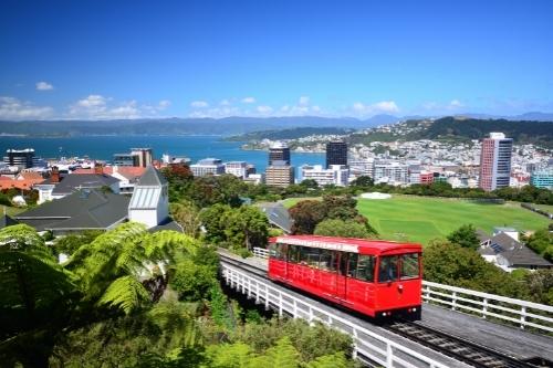 Living in Auckland vs. Wellington: Which is Better & Why? 3 Wellington's famous red cable car ascending over the hill with a view of the beach in the background