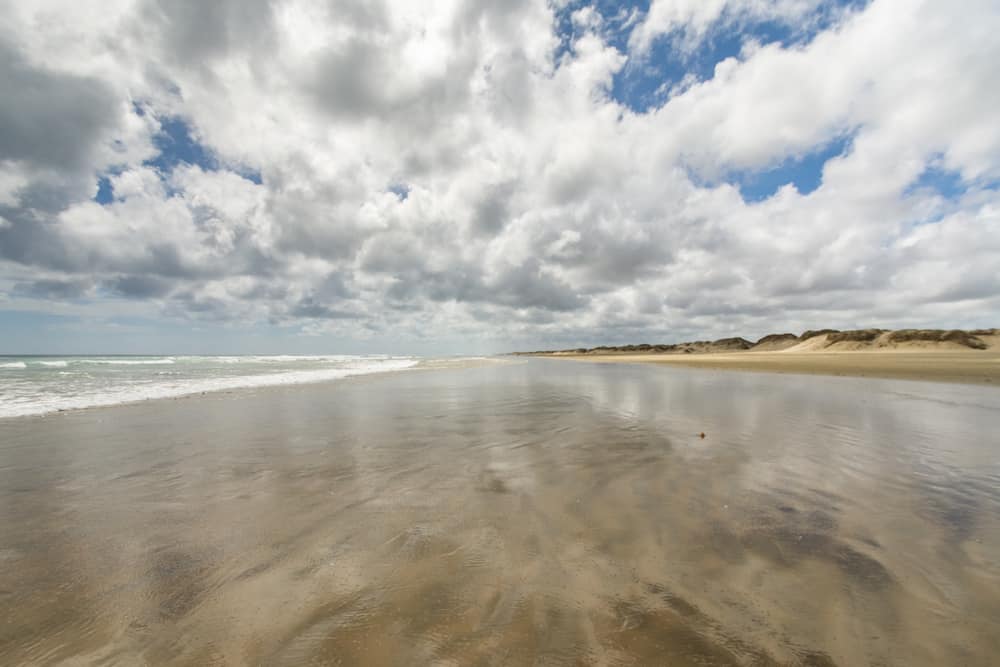 7 Best Things to Do at Cape Reinga, New Zealand 2024 7 90 mile beach that you can drive on at Cape Reinga