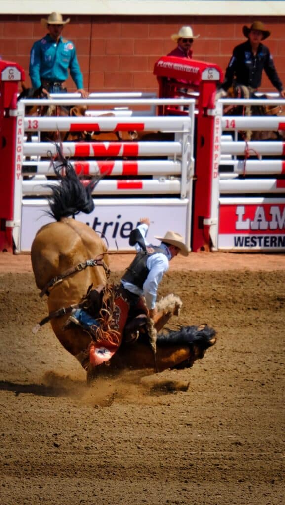 15 Pros and Cons of Living in Calgary: Ultimate 2024 Guide 7 Man on a horse at the calgary stampede falling over into the mud during a race
