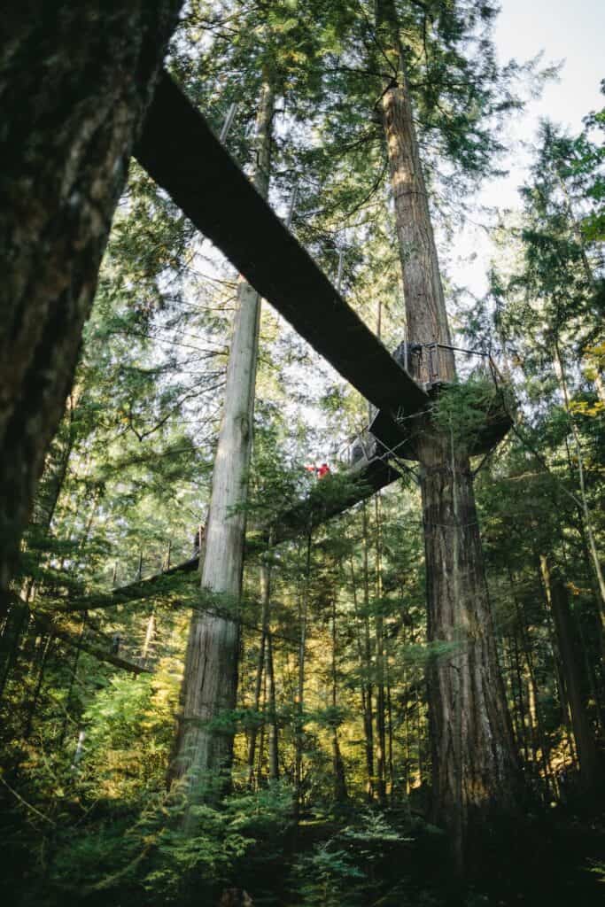 37 Best Day Trips From Vancouver, Canada 2024 7 capilano suspension bridge from below