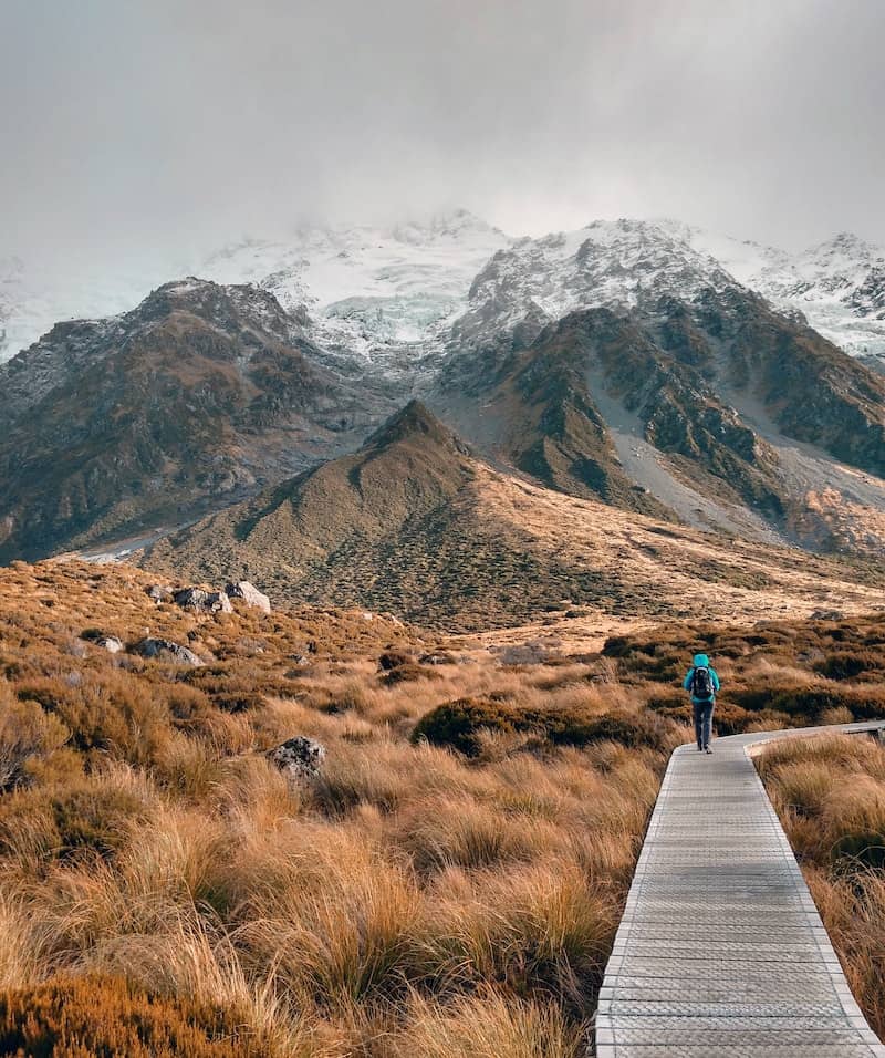 57 New Zealand Travel Tips (2024 Local's Guide) 5 Person hiking on a boardwalk path in New Zealand