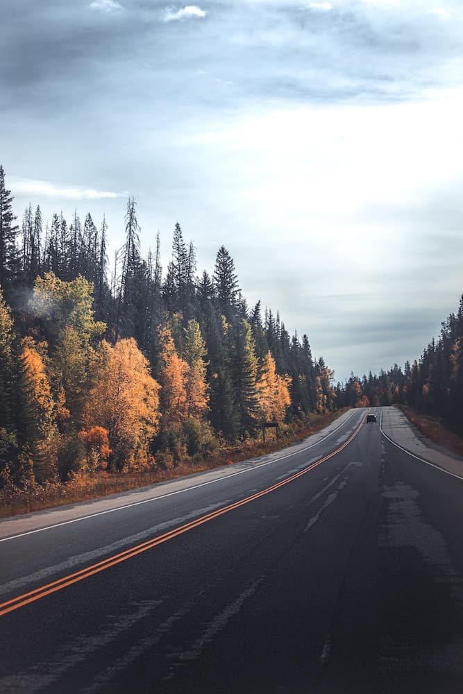 Canada in Autumn: 15 Reasons to Visit + Weather Guide 17 Fall colours in the Rocky Mountains in Canada along the highwau