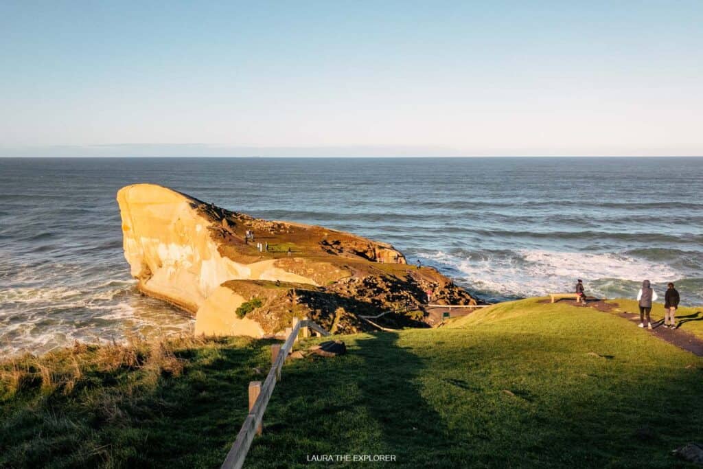 13 Best Places to Live in New Zealand (and Where Not To!) 5 View of the ocean from Dunedin that you can visit when you live in Dunedin on a sunny, summer day.