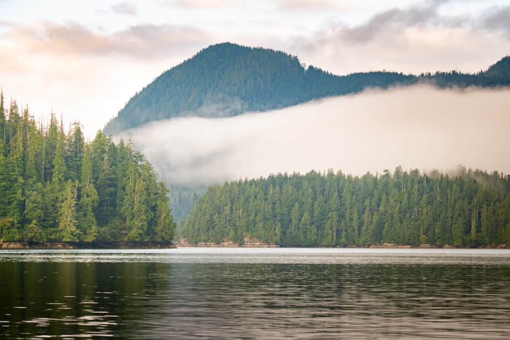 19 Best Things to Do in Tofino, British Columbia 2024 5 Clayoquot Sound