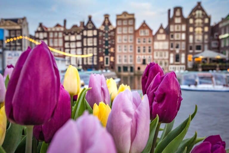 29 Pros and Cons of Living in Amsterdam 3 Pros and Cons of Living in Amsterdam