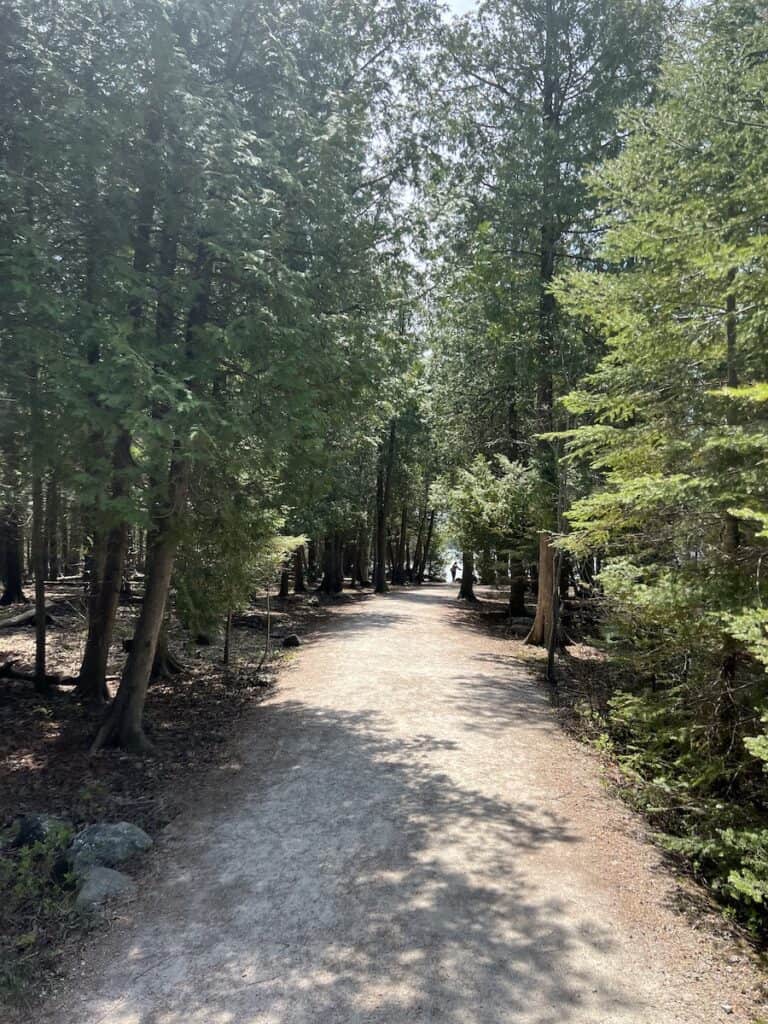25 Jaw-Dropping Things to Do Tobermory, Ontario 8 Bruce Trail through the national park with a clear path through the trees.