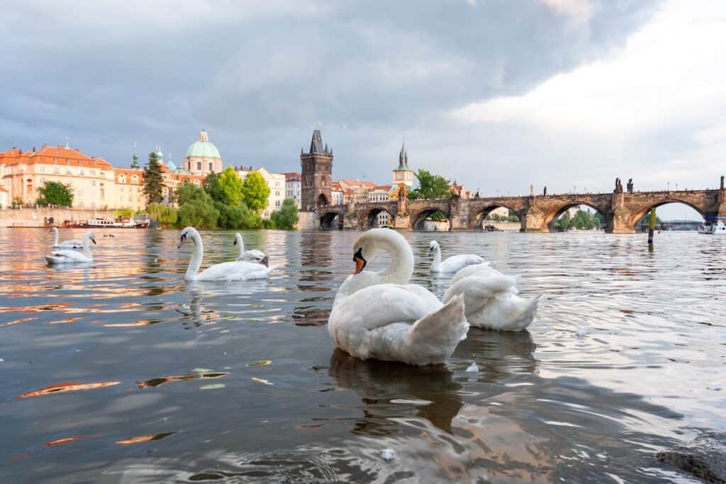 35 Pros and Cons of Living in the Czech Republic for Expats 5 charles bridge prague czech