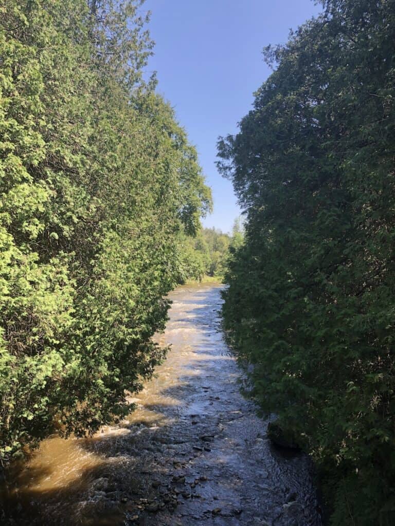 25 Things to Do in Elora, Ontario 2 Elora Gorge conservation area with the water flowing between the trees.