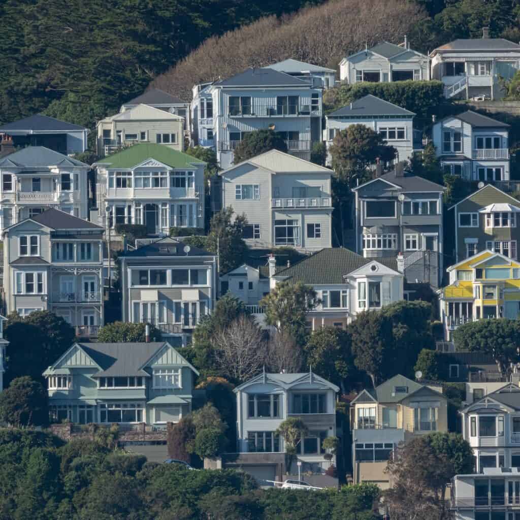 New Zealand Paying People To Move There: 2024 Guide 3 a cluster of houses all different colors on a hillside