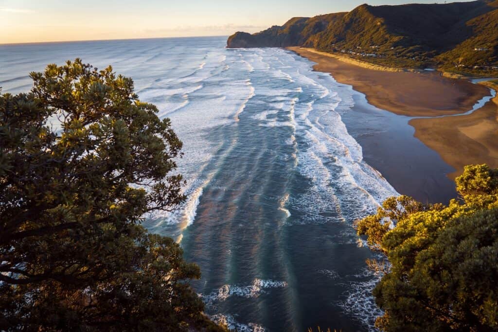 Living in Auckland vs. Wellington: Which is Better & Why? 4 Piha beach near Auckland