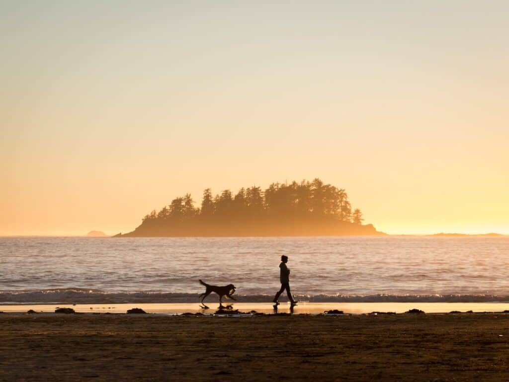 19 Best Things to Do in Tofino, British Columbia 2024 2 tofino beaches