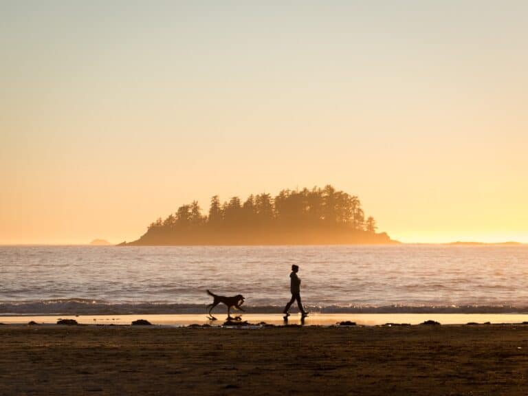 Best Things to do in Tofino