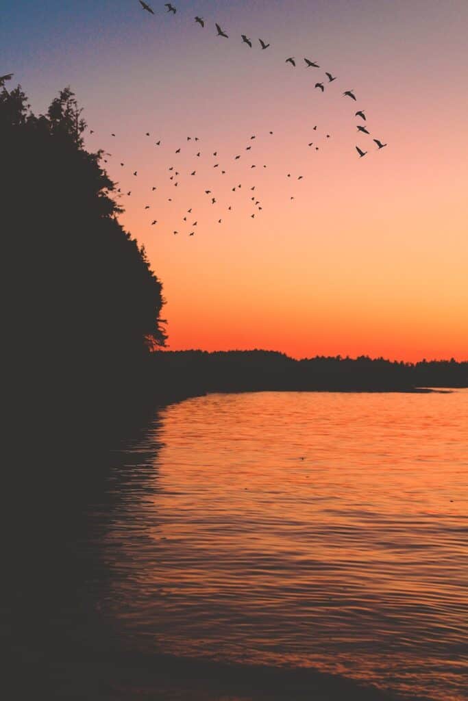19 Best Things to Do in Tofino, British Columbia 2024 7 tofino sunset