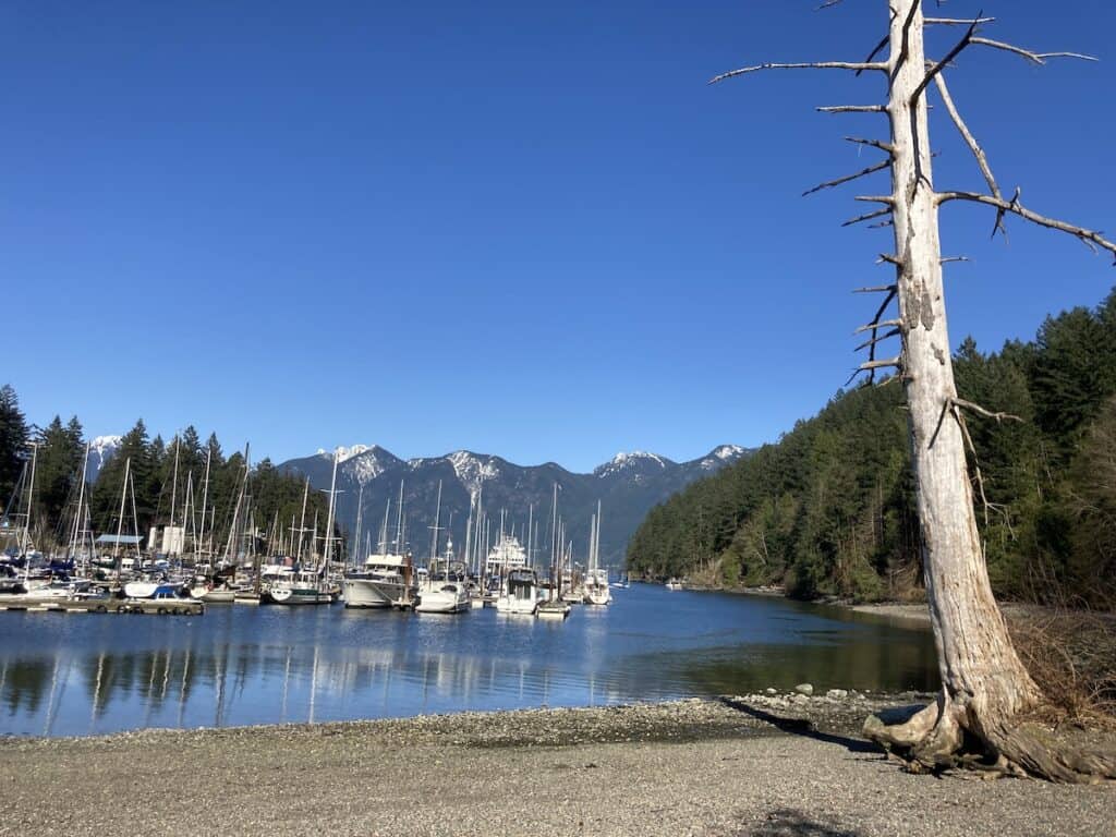 37 Amazing Vancouver Bucket List Things to Do 17 A pebble beach beside a marina of sail boats on Bowen Island, with large pine trees in the forest on the side.