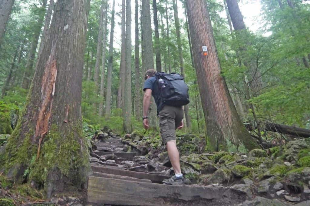 37 Amazing Vancouver Bucket List Things to Do 8 A man with a backpack climbing up the steps of the Grouse Grind. It is a very steep climb with thick redwood on either side and mossy rocks.