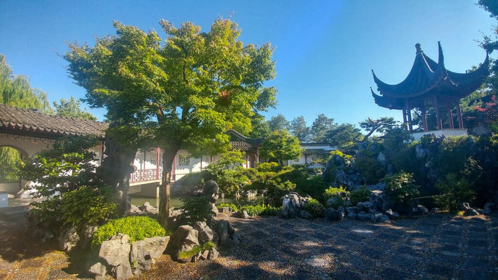 37 Amazing Vancouver Bucket List Things to Do 13 The Chinese Gardens in Vancouver with a pagoda on the side and a blossoming green cherry tree up front.