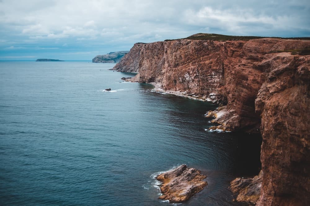 9 Best Places for Whale Watching in Canada 2024 9 newfoundland coast whale watching
