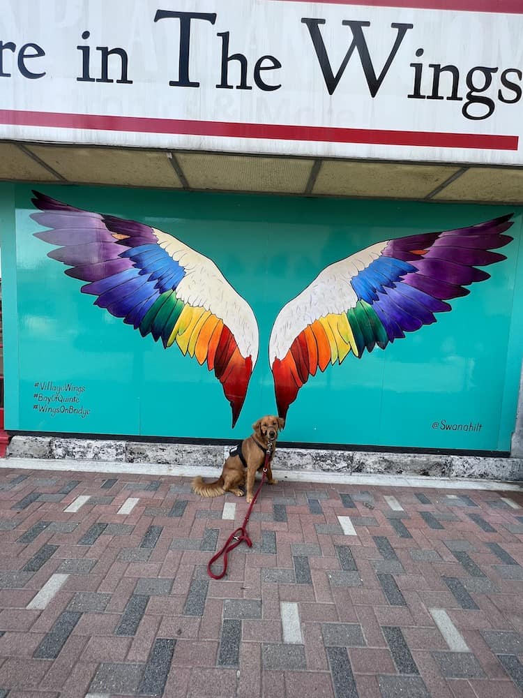 35 Best Things To Do in Prince Edward County in 2024 24 belleville street art theo wings