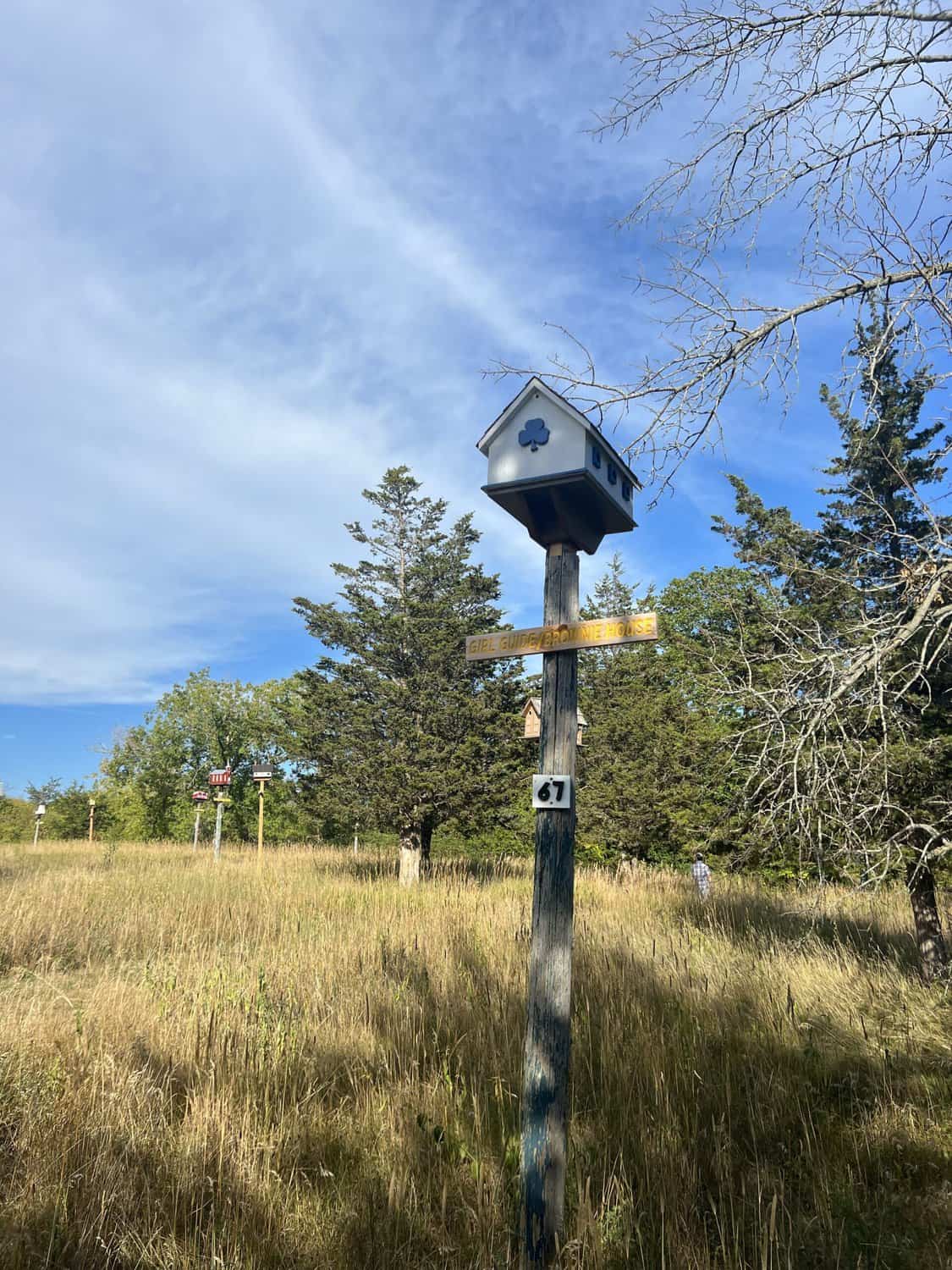 35 Best Things To Do in Prince Edward County in 2024 6 birdhouse city prince edward county edited scaled