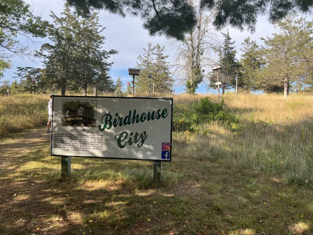 35 Best Things To Do in Prince Edward County in 2024 5 birdhouse city sign pec