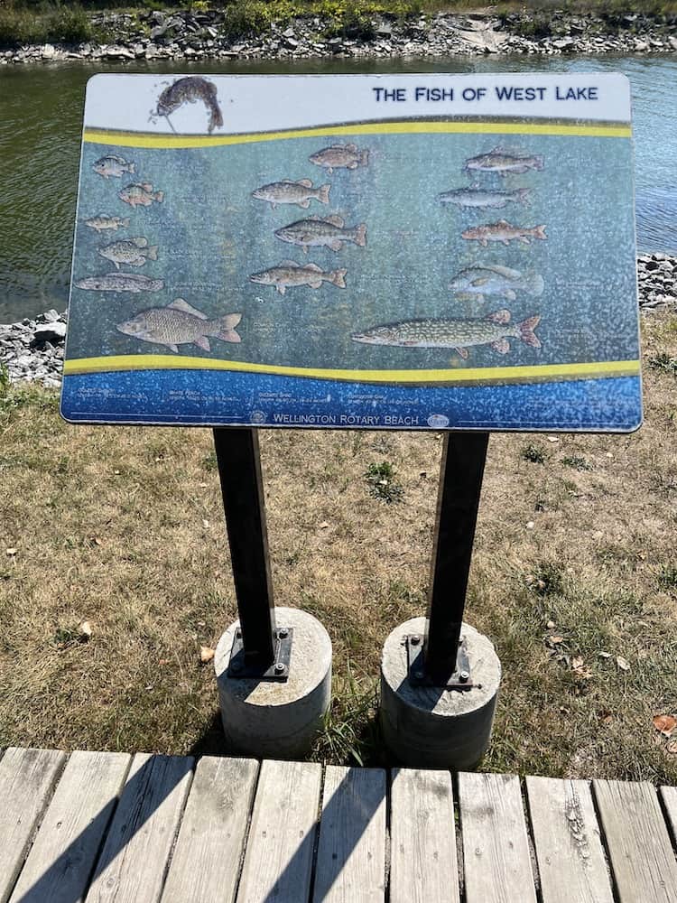 35 Best Things To Do in Prince Edward County in 2024 18 fish sign prince edward county