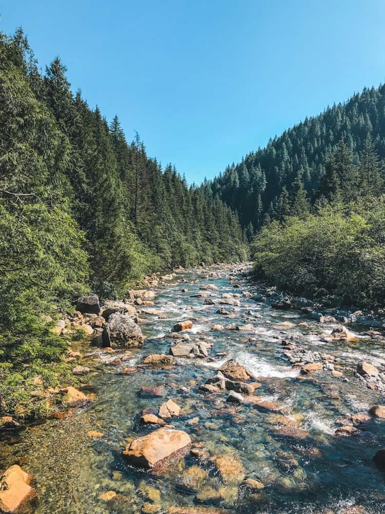 37 Best Day Trips From Vancouver, Canada 2024 21 golden ears provincial park vc