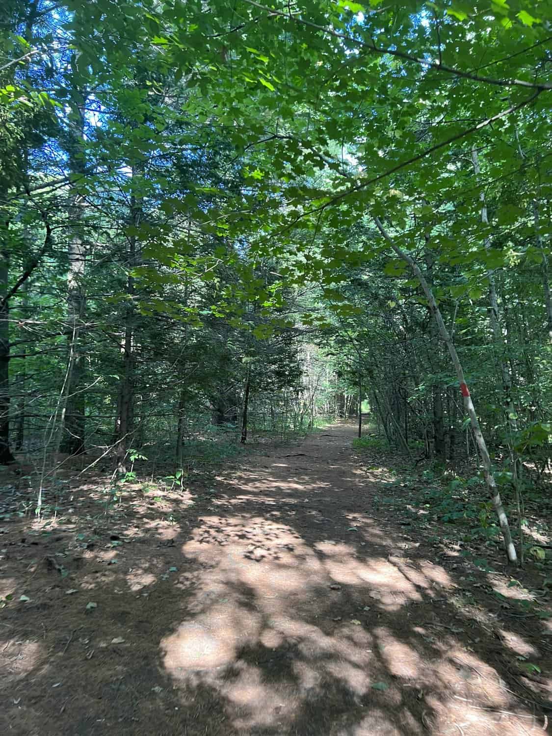 35 Best Things To Do in Prince Edward County in 2024 4 macaulay heritage park trail prince edward county edited scaled