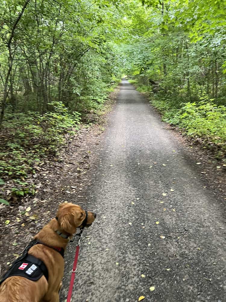 35 Best Things To Do in Prince Edward County in 2024 15 millennium trail prince edward county