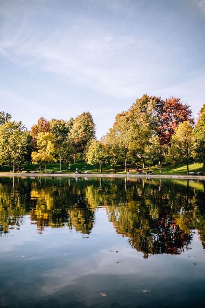 Living in Toronto vs. Montreal: Which is Better? 2024 14 montreal lake reflection