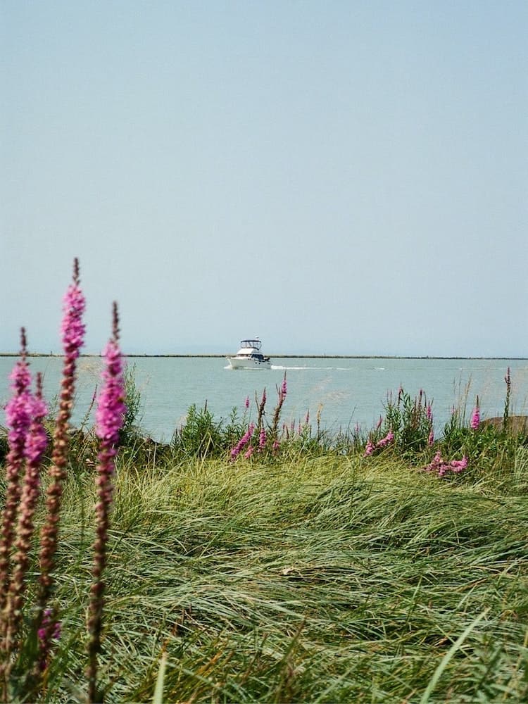 37 Best Day Trips From Vancouver, Canada 2024 3 richmond bc boat