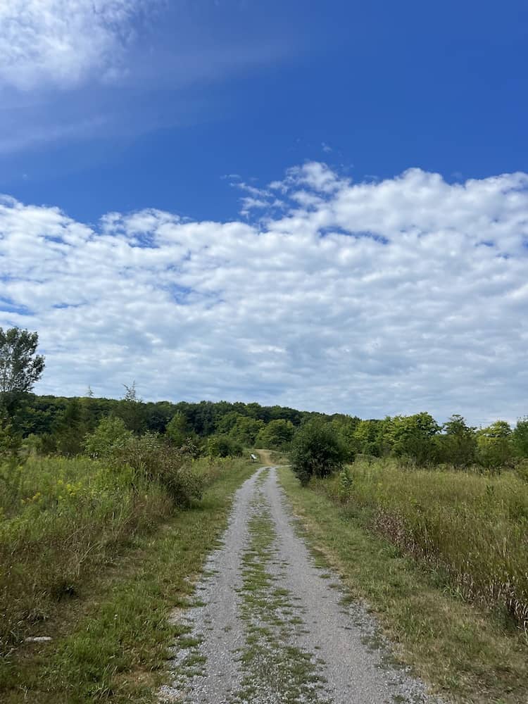 35 Best Things To Do in Prince Edward County in 2024 2 sandbanks provincial park trail