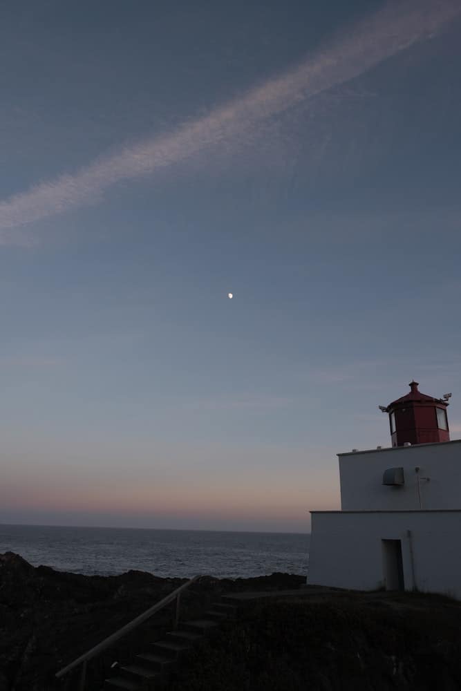 29 Best Things to Do in Ucluelet, BC 16 stargazing ucluelet