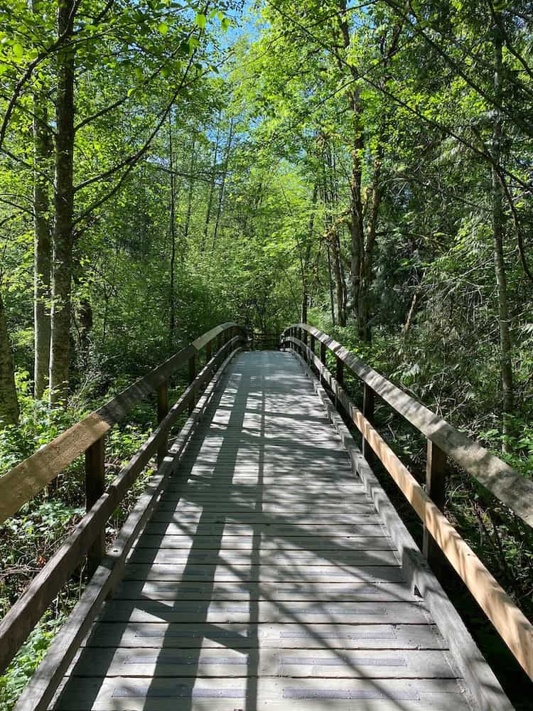 37 Best Day Trips From Vancouver, Canada 2024 5 surrey british columbia hike