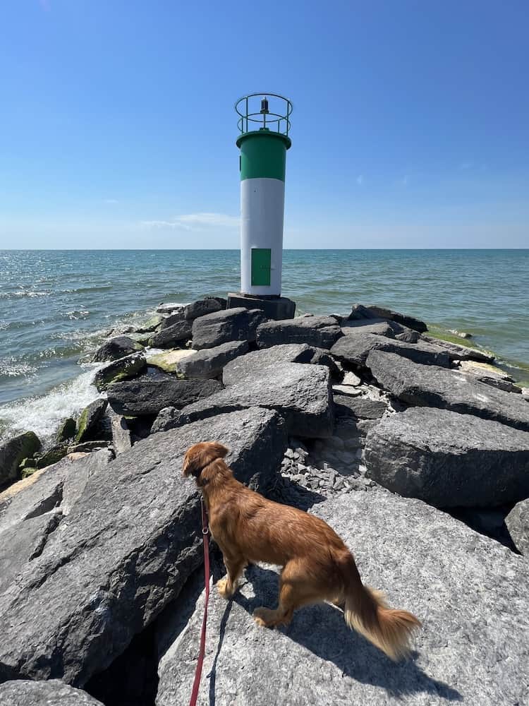 35 Best Things To Do in Prince Edward County in 2024 27 theo prince edward county lighthouse