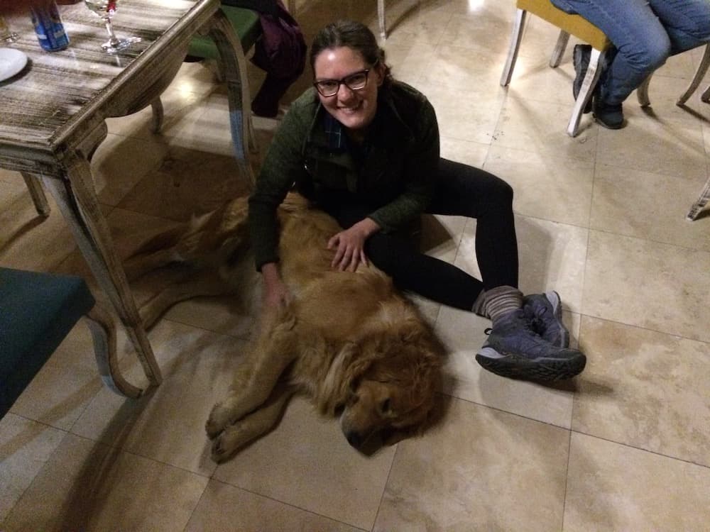 37 Pros and Cons of Living in Turkey as a Foreign Woman 14 nina turkey street dog