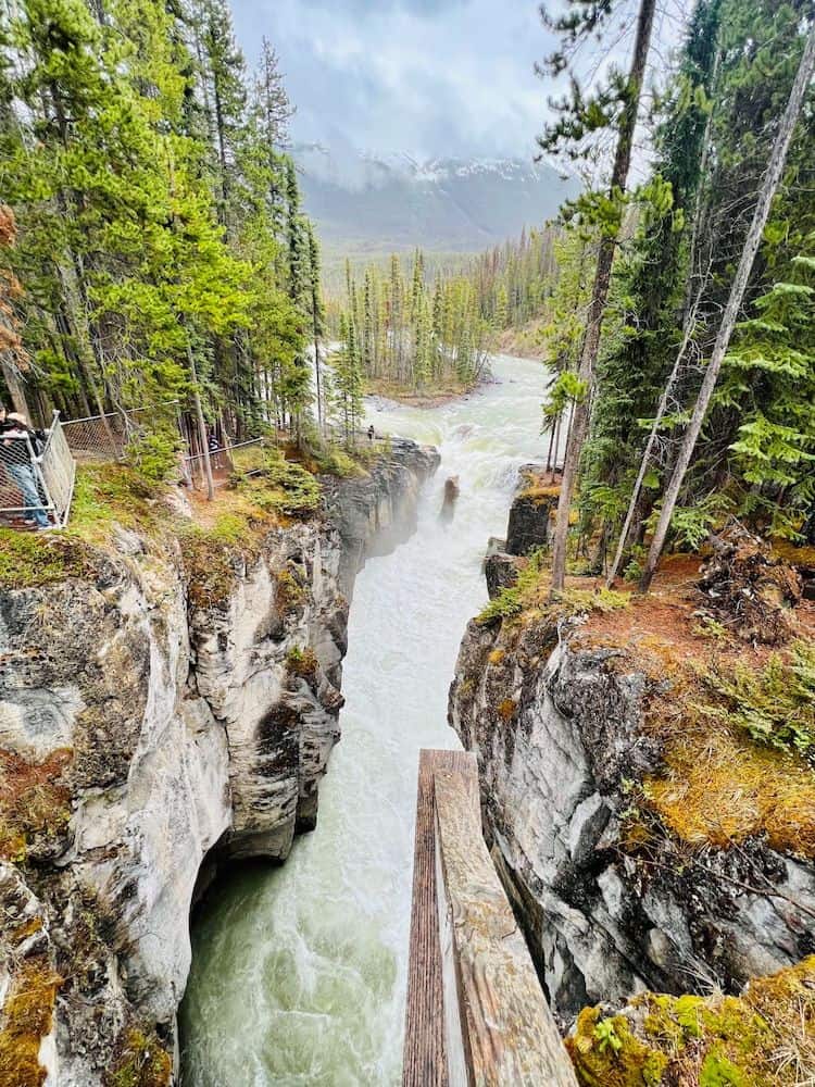 19 Best Stops on the Jasper to Lake Louise Drive 3 Athabasca Falls between Jasper and Lake Louise. The water is rushing between a pine tree forest with a deep cavern of rocks.