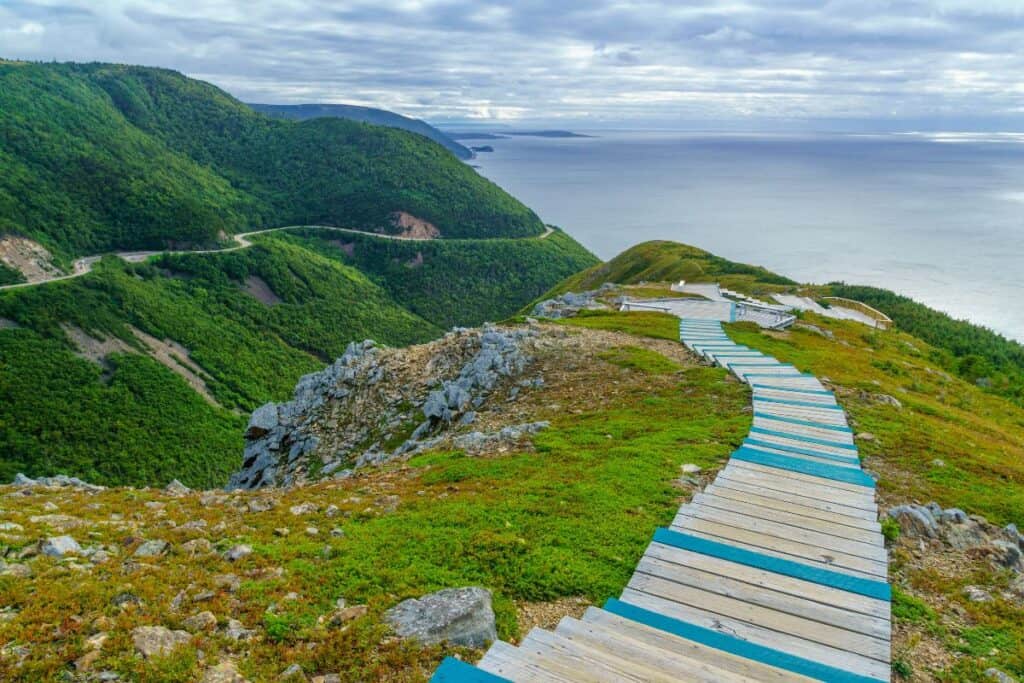11 Epic Sites for Backcountry Camping in Canada (2024) 7 Wooden stairs down a hill at Cape Breton Highlands National Park. This park is an epic place to explore in Nova Scotia, with the skyline trail as one of the best hikes.