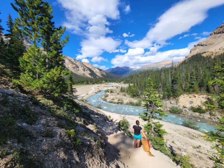 19 Best Hikes in Banff National Park (2024 Guide)