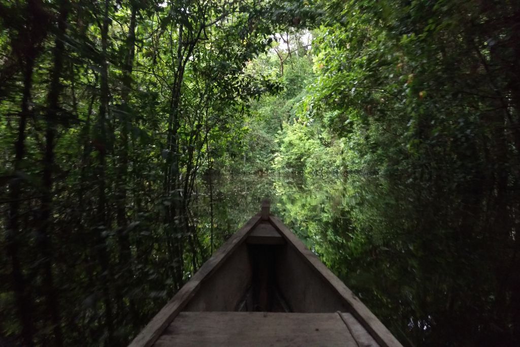 How Living Abroad Changes You: 15 Ways You’ll Grow 2 Navigating in the waters of the Amazon Rainforest. I could lived it while I was living abroad.