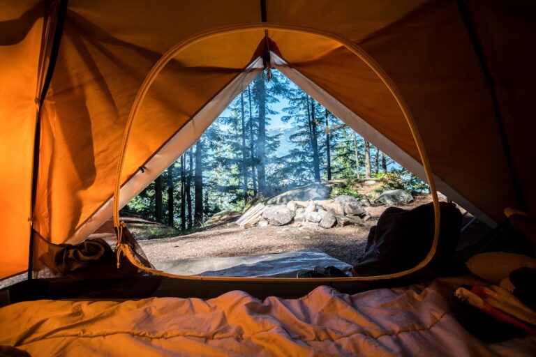 30 Best Camping on Vancouver Island, BC (2024 Guide)
