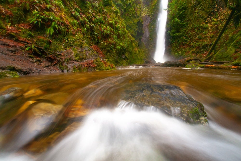 39 Best Waterfalls in Vancouver Island to Visit (2024 Guide) 5 niagara falls goldstream park