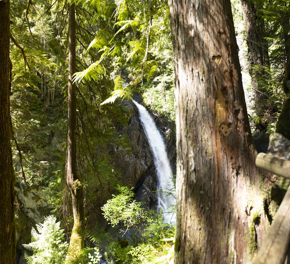 39 Best Waterfalls in Vancouver Island to Visit (2024 Guide) 9 upper myra falls vancouver island