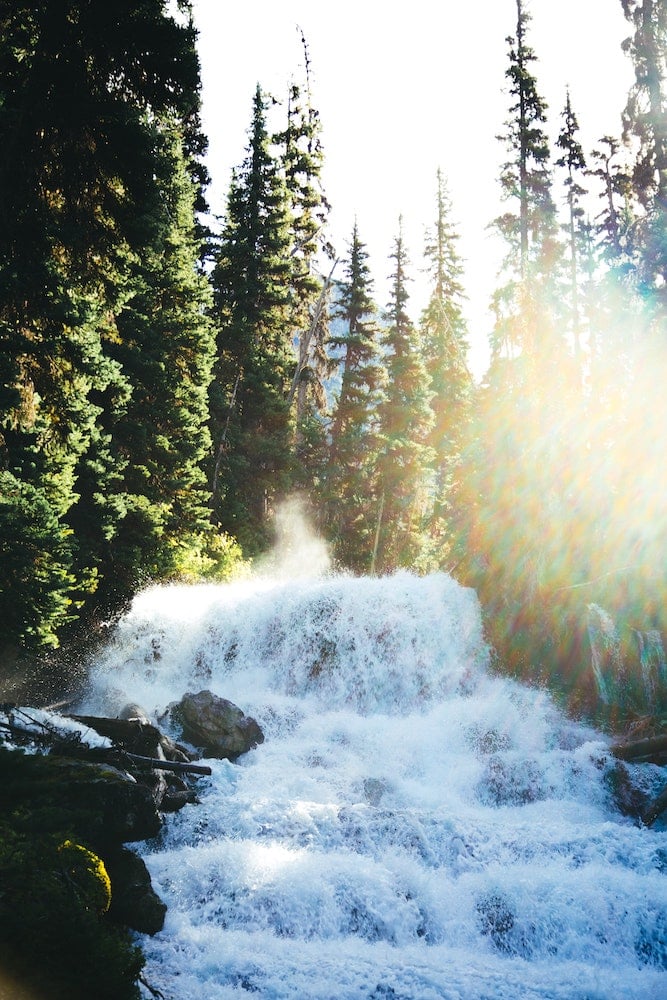 39 Best Waterfalls in Vancouver Island to Visit (2024 Guide) 2 vancouver island waterfall rapids