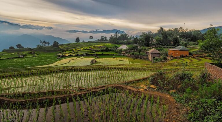 23 Pros and Cons of Living in Vietnam in 2024 9 Pros and cons of living in Vietnam