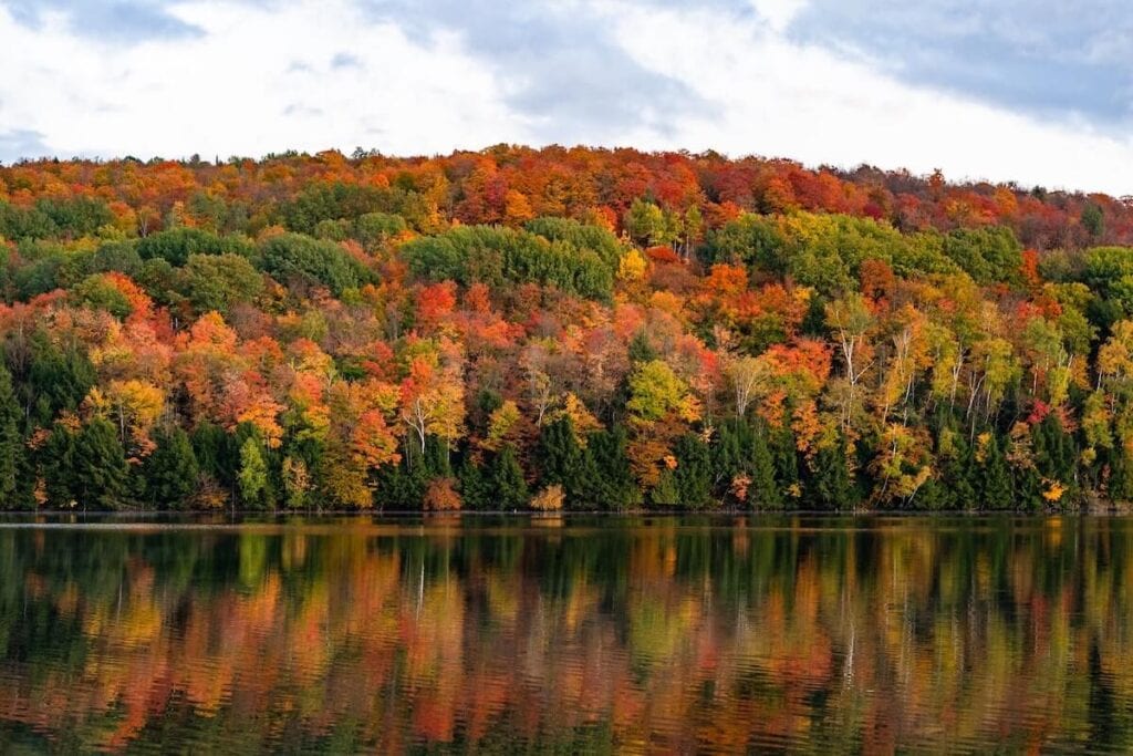 27 Pros and Cons of Living in Vermont in 2024 2 A photo of a lake in Vermont near an island full of tall orange and green trees, getting to see the autumn colors is such a pro of living in Vermont.
