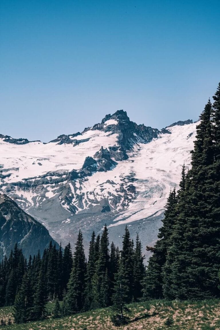 23 Pros and Cons of Living in Washington State in 2024 4 Pros and cons of living in Washington State