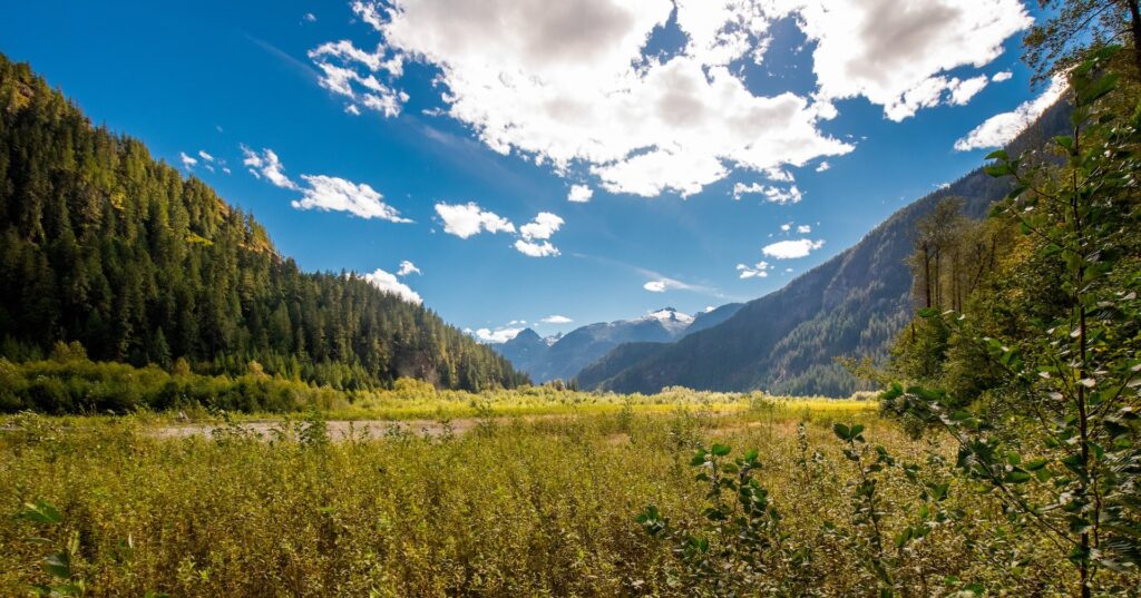 Best Horseback Riding in Canada: The 8 Best Trails 6 Green grassy fields under blue skies and white clouds during daytime. There are trees all around and mountains can be seen. This is one of the best places to go horseback riding in Canada.