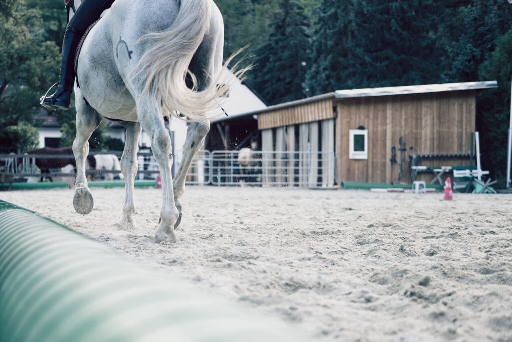 Best Horseback Riding in Canada: The 8 Best Trails 10 The legs of a white horse galloping on white sand near a small wooden stable. This is in Captiva Farms in Wakefield where you could go horseback riding in Canada.